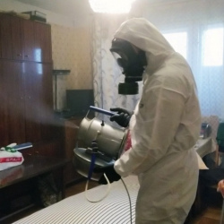 Дезинфекция от клопов в Люберцах