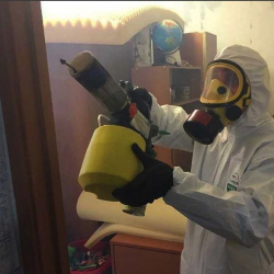 Уничтожение клопов в квартире. Люберцы